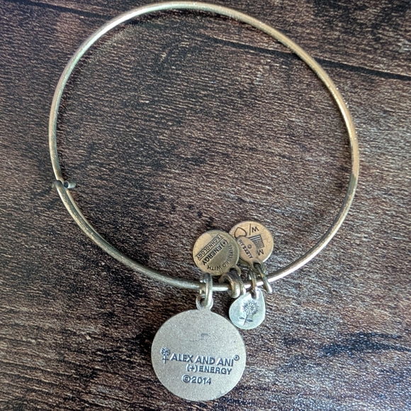 Alex and Ani Aruba Bracelet - Picture 2 of 2